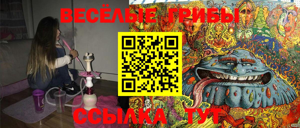 Галлюциногенные грибы Magic Shrooms Богородицк